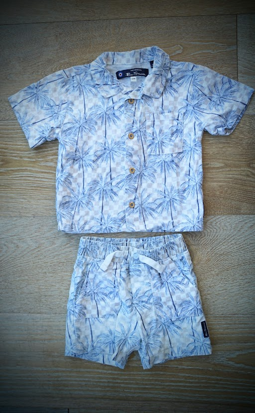 2 Piece Set Short Sleeve CollaredShirt and Shorts